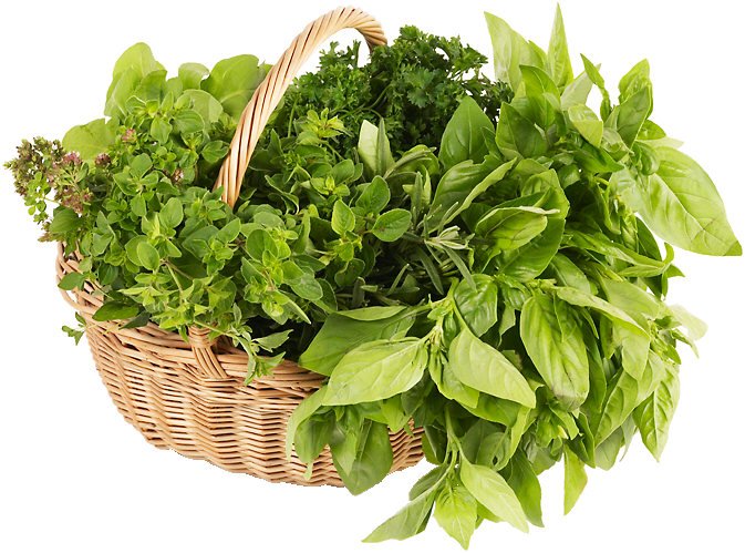 Basket of herbs